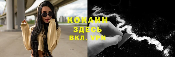 твердый Армянск