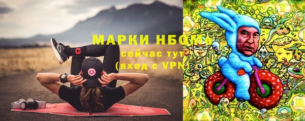 ГАЛЛЮЦИНОГЕННЫЕ ГРИБЫ Аркадак