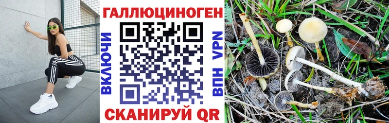 Псилоцибиновые грибы Magic Shrooms  Купить закладки  Нижний Ломов 